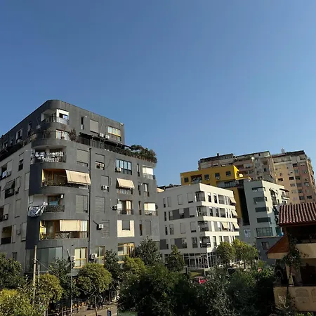 Circle's Comfy At Kika 2 Tirana